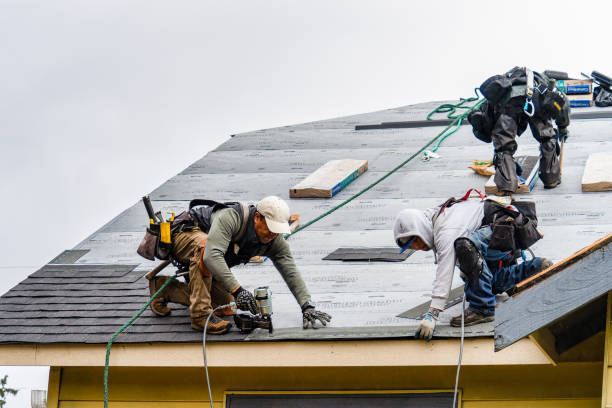 Professional Storm Damage Roof Repair technician working in Dover, MN